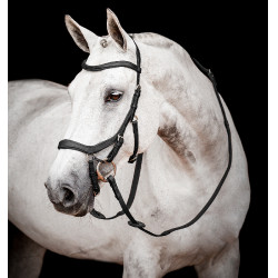 Bridon Horseware Micklem 2 Competition Rambo Noir