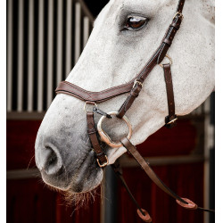 Bridon Horseware Micklem 2 Competition Rambo Havane foncé Marron Bridon Horseware Micklem 2 Competition Rambo Havane foncé Marron