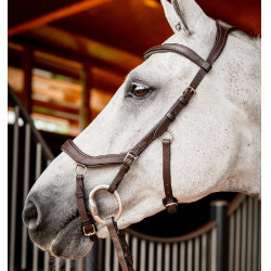 Bridon Horseware Micklem 2 Competition Rambo Havane foncé Marron Bridon Horseware Micklem 2 Competition Rambo Havane foncé Marron