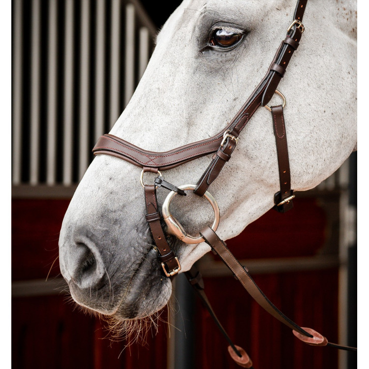 Bridon Horseware Micklem 2 Competition Rambo Bridon Horseware Micklem 2 Competition Rambo