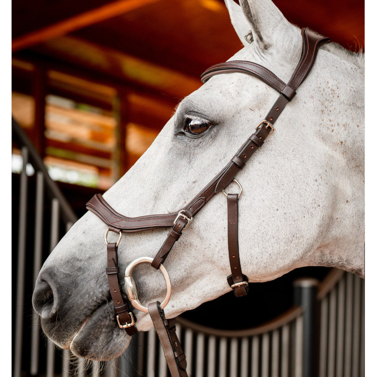 Bridon Horseware Micklem 2 Competition Rambo Bridon Horseware Micklem 2 Competition Rambo