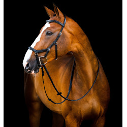 Bridon Horseware Micklem 2 Deluxe Competition Noir Bridon Horseware Micklem 2 Deluxe Competition Noir