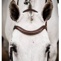 Bridon Horseware Micklem 2 Deluxe Competition Havane foncé Marron