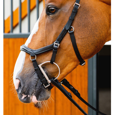Bridon Horseware Micklem 2 Deluxe Competition rênes caoutchouc Bridon Horseware Micklem 2 Deluxe Competition rênes caoutchouc