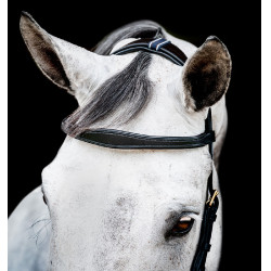 Bridon Horseware Micklem 2 Multi Noir