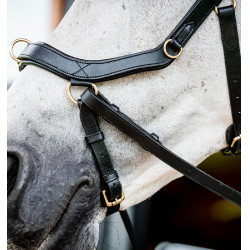 Bridon Horseware Micklem 2 Multi Noir