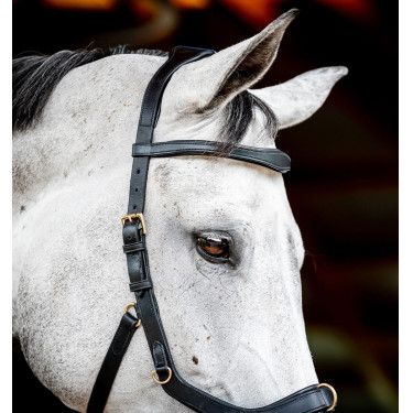 Bridon Horseware Micklem 2 Multi Bridon Horseware Micklem 2 Multi