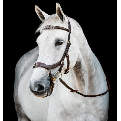 Bridon Horseware Micklem 2 Multi Havane foncé Marron