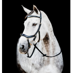 Bridon Horseware Micklem 2 Multi Noir