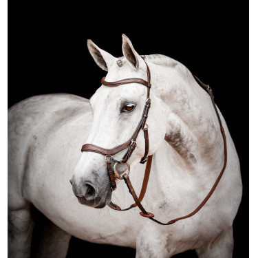 Bridon Horseware Micklem 2 Competition Rambo Havane foncé Marron