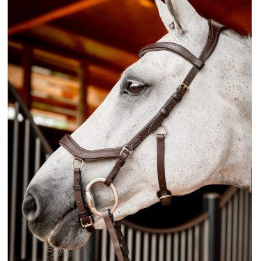 Bridon Horseware Micklem 2 Competition Rambo Havane foncé Marron