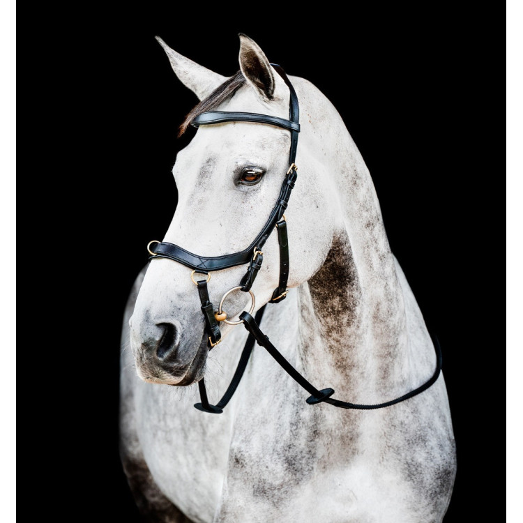 Bridon Horseware Micklem 2 Multi Bridon Horseware Micklem 2 Multi