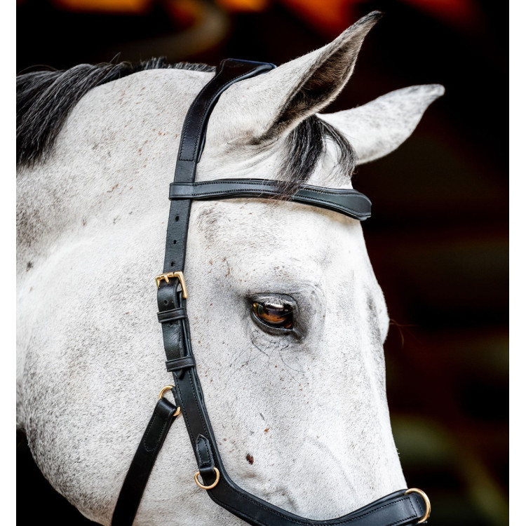 Bridon Horseware Micklem 2 Multi Bridon Horseware Micklem 2 Multi