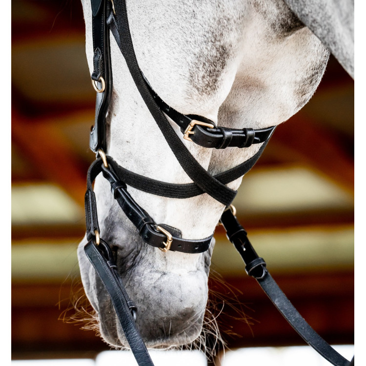 Bridon Horseware Micklem 2 Multi Bridon Horseware Micklem 2 Multi