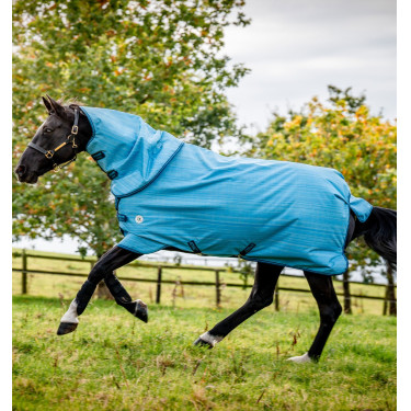 Couverture Horseware Amigo Hero 900 Revive Plus 50g Couverture Horseware Amigo Hero 900 Revive Plus 50g