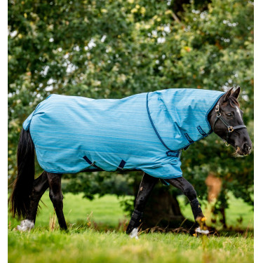 Couverture Horseware Amigo Hero 900 Revive Plus 50g Couverture Horseware Amigo Hero 900 Revive Plus 50g
