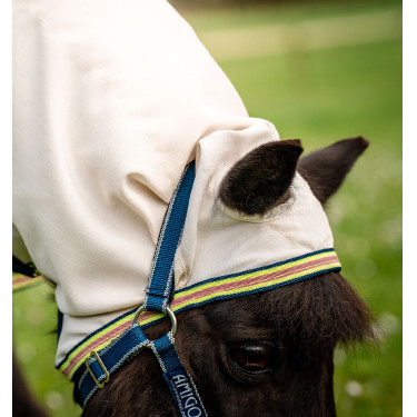 Couverture Horseware avec cou indéchirable Amigo pour mini Couverture Horseware avec cou indéchirable Amigo pour mini