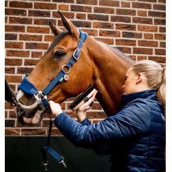 Licol Horseware de pansage Signature Marine Bleu marine