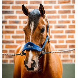 Licol Horseware de pansage Signature Marine Bleu marine
