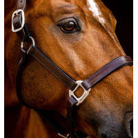 Licol en cuir Horseware Signature Noir Licol en cuir Horseware Signature Noir