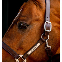 Licol en cuir Horseware Signature Noir