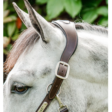 Licol Horseware tressé Signature Marron / marine / brume bleu Multi-couleurs