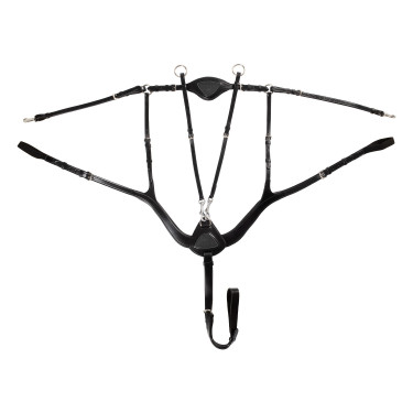 Collier de chasse anatomique 5 points Acavallo Collier de chasse anatomique 5 points Acavallo