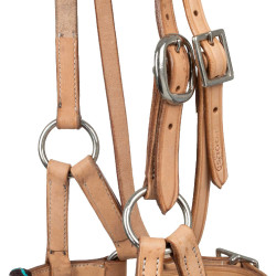 Fillet sans mors avec têtière décoré en perles colorées Pool's Naturel Marron Fillet sans mors avec têtière décoré en perles colorées Pool's Naturel Marron