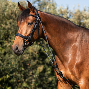 Gogue en cuir de veau et nylon Acavallo Noir