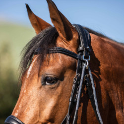 Gogue en cuir de veau et nylon Acavallo Noir