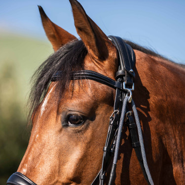Gogue en cuir de veau et nylon Acavallo Noir