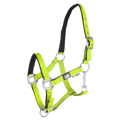 Licol pour poulain en cuir rembourré toucher doux à double réglage Supreme Citron