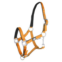 Licol pour poulain en cuir rembourré toucher doux à double réglage Supreme Orange Licol pour poulain en cuir rembourré toucher doux à double réglage Supreme Orange