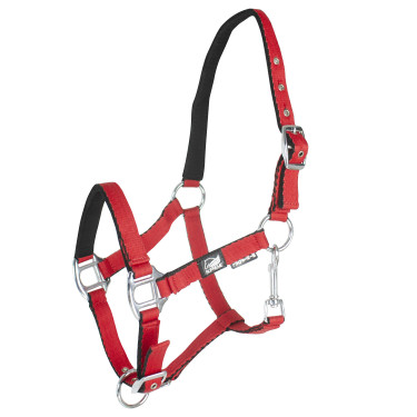 Licol pour poulain en cuir rembourré toucher doux à double réglage Supreme Rouge Licol pour poulain en cuir rembourré toucher doux à double réglage Supreme Rouge
