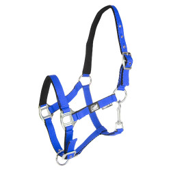 Licol pour poulain en cuir rembourré toucher doux à double réglage Supreme Bleu royal