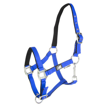 Licol pour poulain en cuir rembourré toucher doux à double réglage Supreme Bleu royal Licol pour poulain en cuir rembourré toucher doux à double réglage Supreme Bleu royal