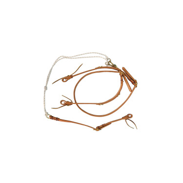 Martingale allemand Pool's Martingale allemand Pool's
