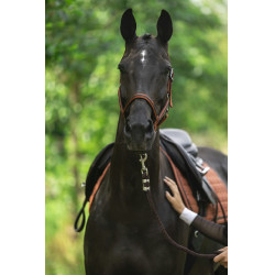 Tapis de selle Lami-Cell Vintage Orange