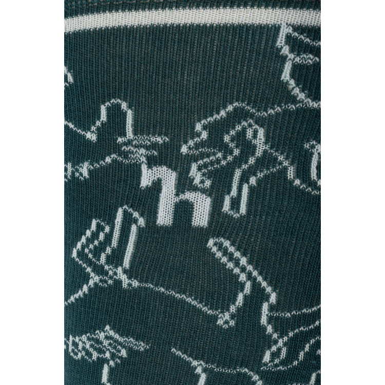 Chaussettes d'hiver Horze enfant Pegasus