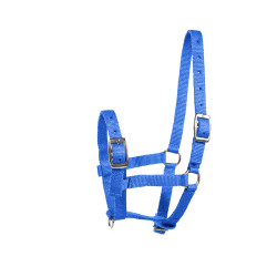 Licol Poulain Horze Spirit Bleu foncé Licol Poulain Horze Spirit Bleu foncé