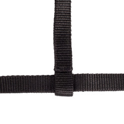 Licol Poulain Horze Spirit Noir