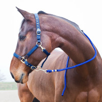 Longe Horze Supreme, mousqueton Bleu roi Longe Horze Supreme, mousqueton Bleu roi