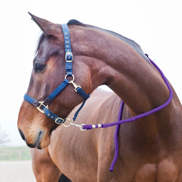 Longe Horze Supreme, mousqueton Violet Longe Horze Supreme, mousqueton Violet