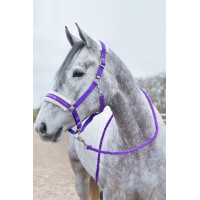 Longe Howard Crescendo Horze Noir