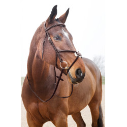 Bridon à muserolle croisée Prescott Horze Marron