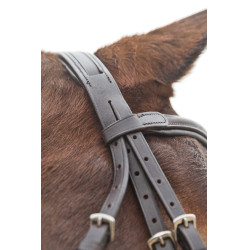 Bridon à muserolle croisée Prescott Horze Marron