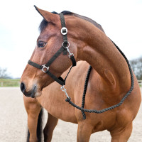 Longe Basic Horze en Coton Rose framboise