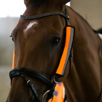 Fourreau de bride Horze fluo Orange Fourreau de bride Horze fluo Orange