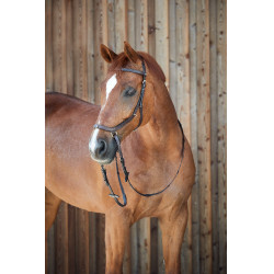 Bridon combiné Orlando Horze bitless en cuir Marron Bridon combiné Orlando Horze bitless en cuir Marron