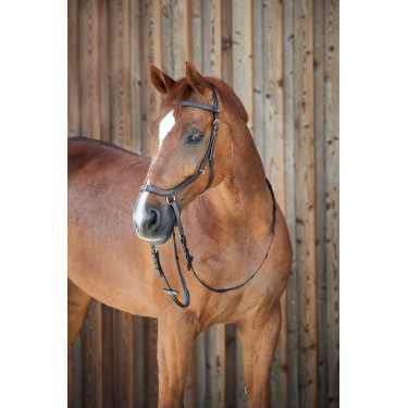 Bridon combiné Orlando Horze bitless en cuir Bridon combiné Orlando Horze bitless en cuir